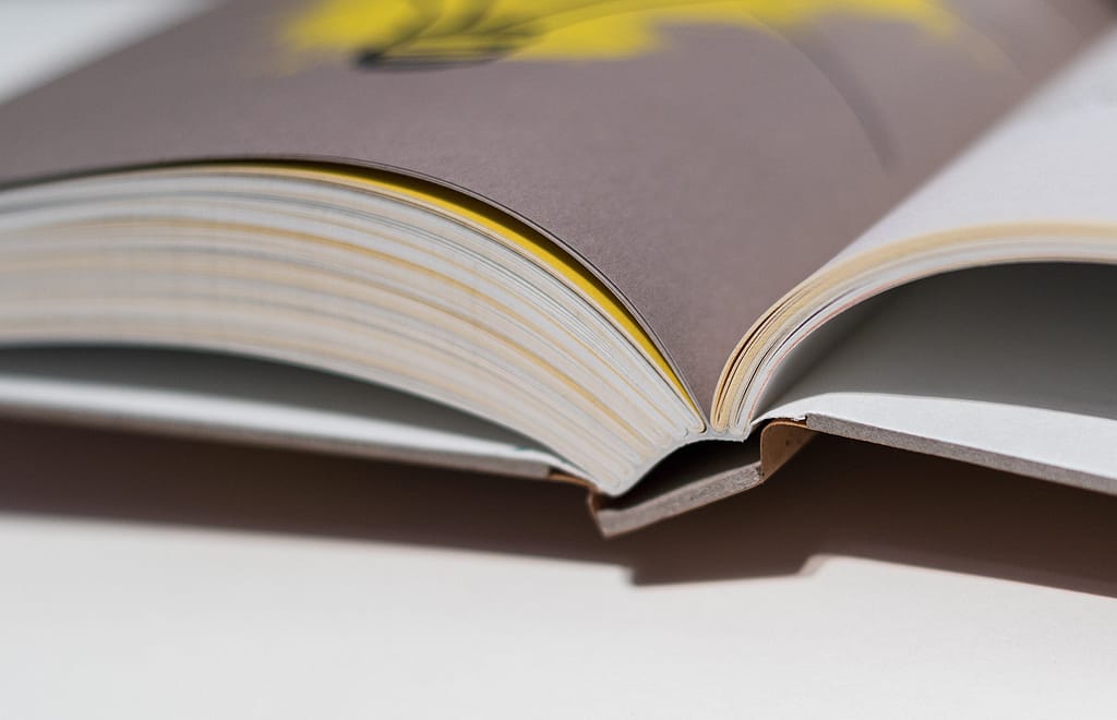 Buch-fuer-Ideensucher