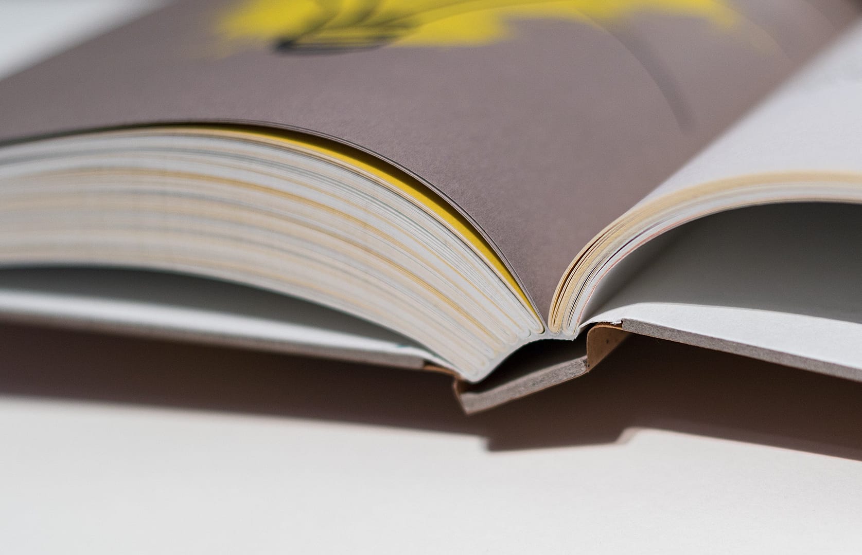 DAS BUCH FÜR IDEENSUCHER